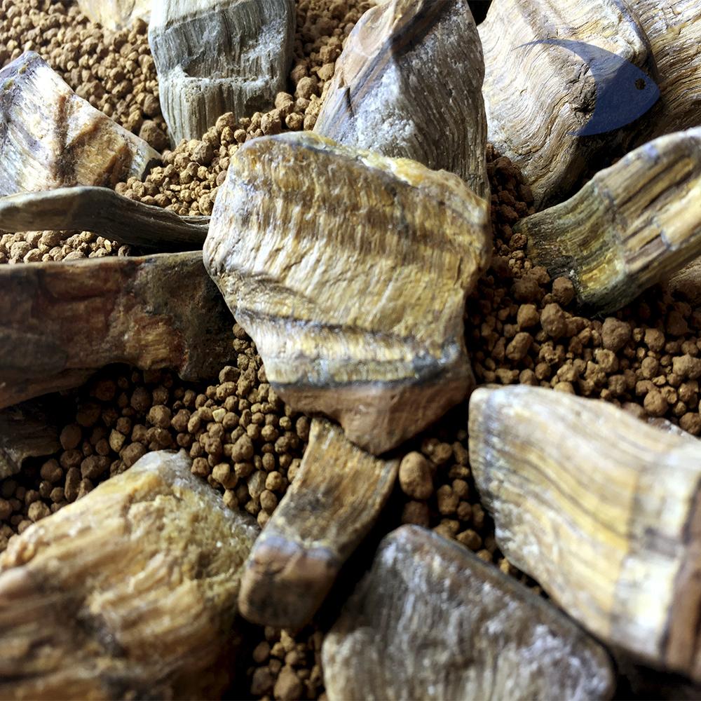 WetRock, 450 gramos. Ojo de tigre, gravilla empacada en malla plástica